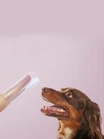 ⁦Soft Finger Toothbrush for Pet & Kids⁩ - الصورة ⁦8⁩