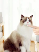 ⁦Soft Finger Toothbrush for Pet & Kids⁩ - الصورة ⁦9⁩